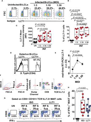 B Cells Control Mucosal-Associated Invariant T Cell Responses to Salmonella enterica Serovar Typhi Infection Through the CD85j HLA-G Receptor